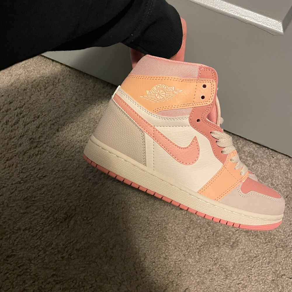 Jordan Retro 1’s d*p*s